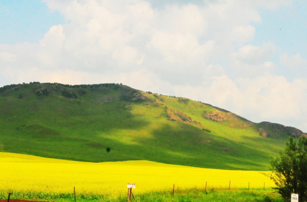 ̨������ԭ